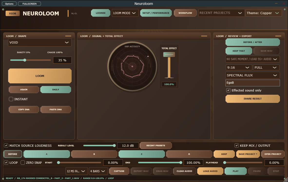 NeuroLoom 3.1.3 standalone interface on Windows.