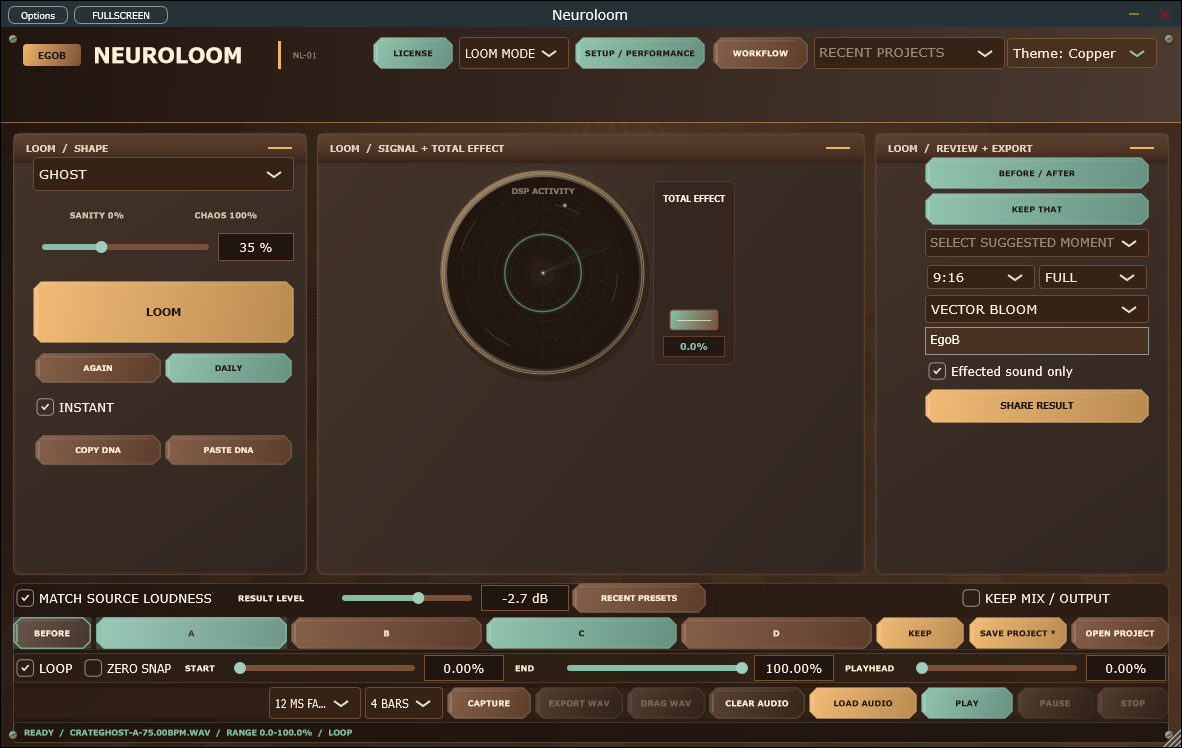 NeuroLoom 2.13.1 Windows Loom workspace