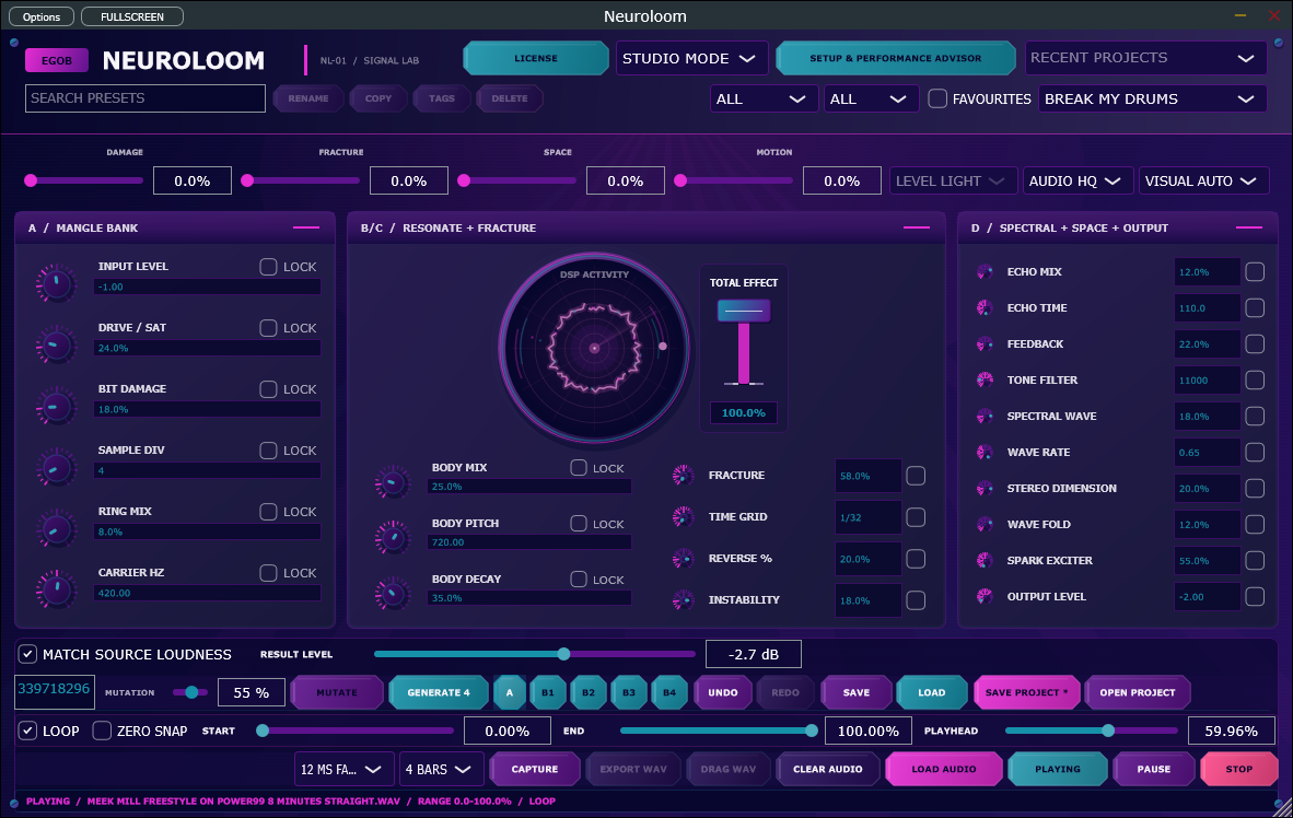 NeuroLoom 2.12.1 Windows interface